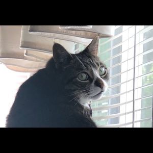 Meet your Posher, Donna